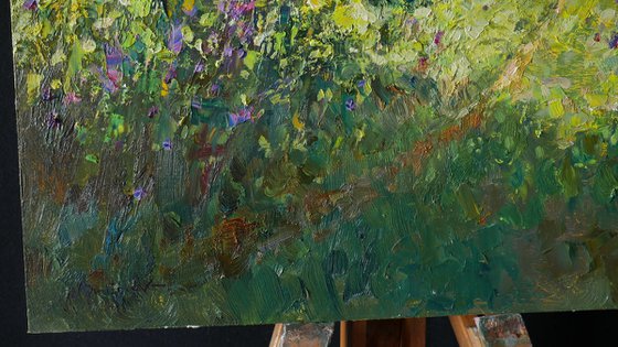 The Sunny Meadow