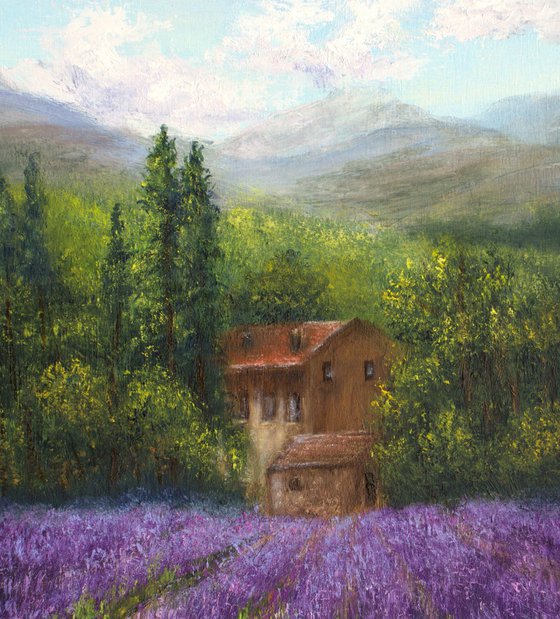 Lavender landscape in Provence