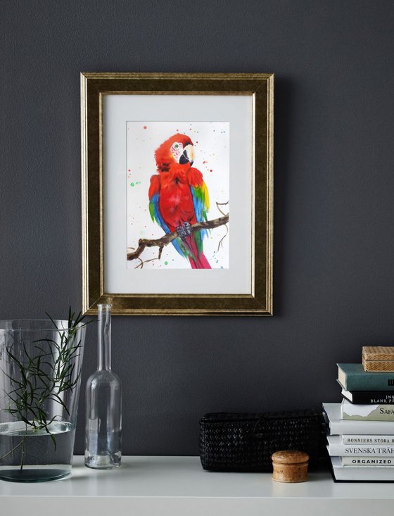 RESERVED - Red Macaw – Red Parrot - Red Bird
