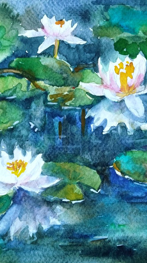 Water lily pond by Ann Krasikova