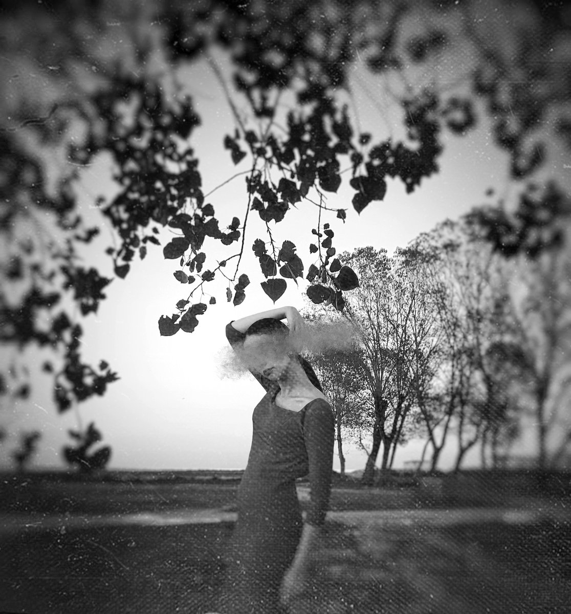 Surrealistic Portrait Photograph By Carmelita Iezzi, 20 X 20, .Sueno Velado., Original Artwork