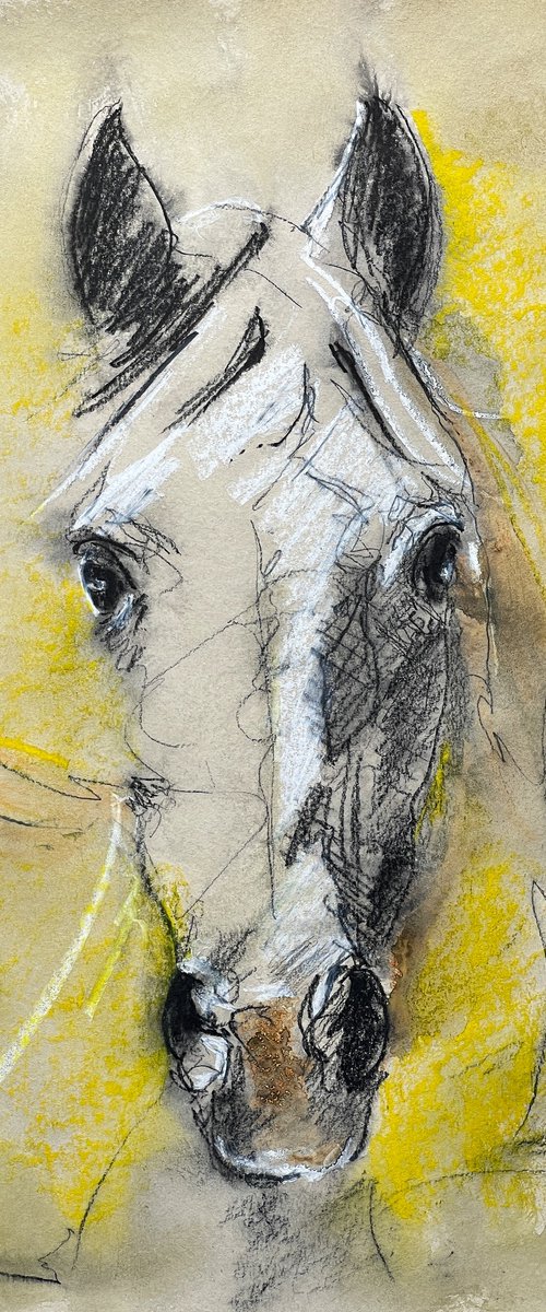 Equestrian Grace by Victor de Melo