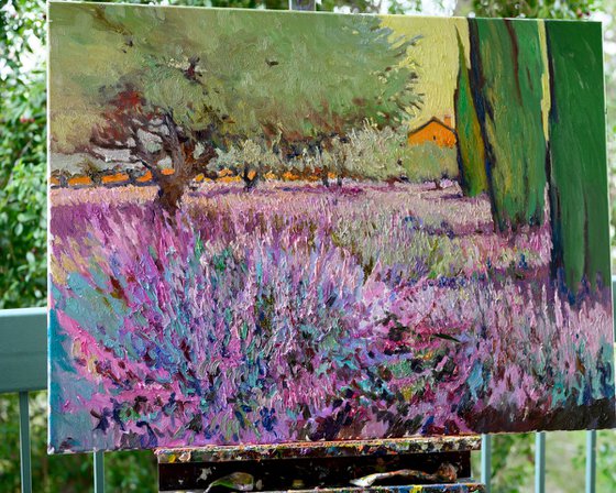 Lavender and Olive Trees