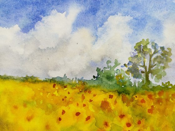 Field of yellow sunflowers