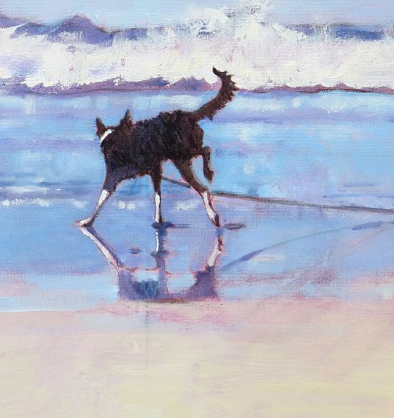Border Collie Dog Grace Encounters a Wave. No 2