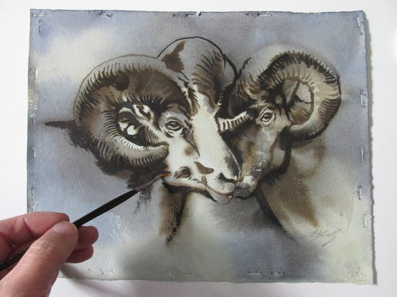 Two rams watercolor