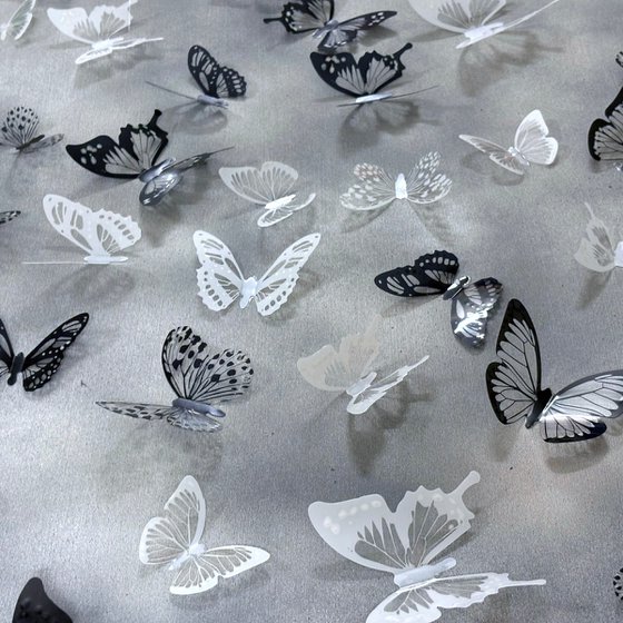 Mono metamorphosis
