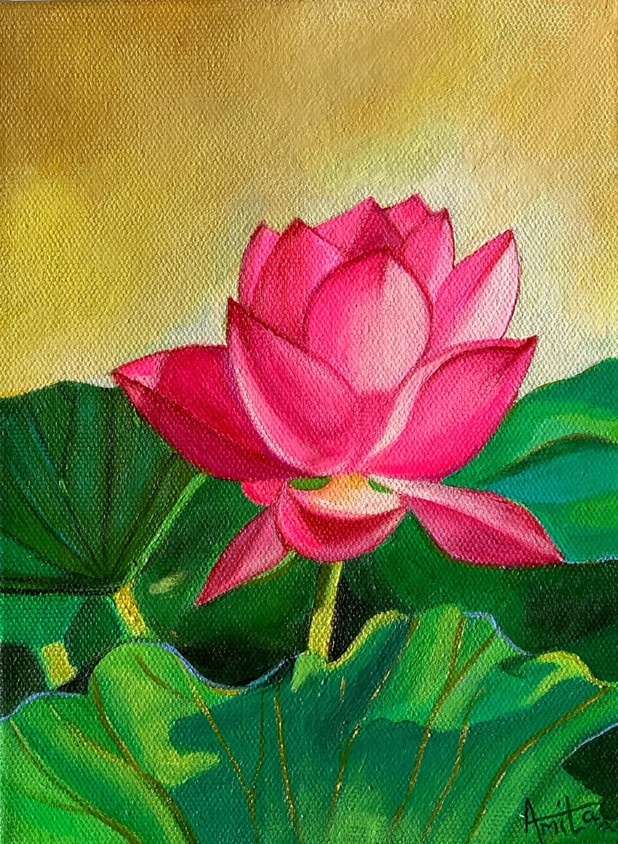 Sunkissed pink lotus! Small ready to hang painting by Amita Dand