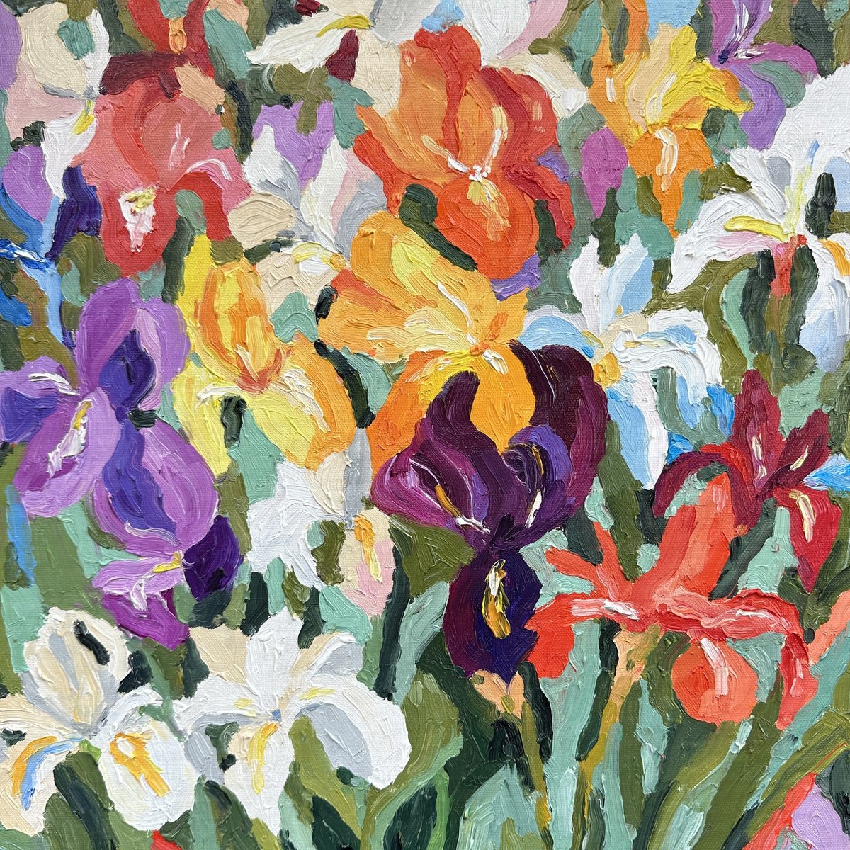 Impressionistic Botanical Oil Painting By Irina Anis, 16 X 16, Field Of Irises, Original Artwork