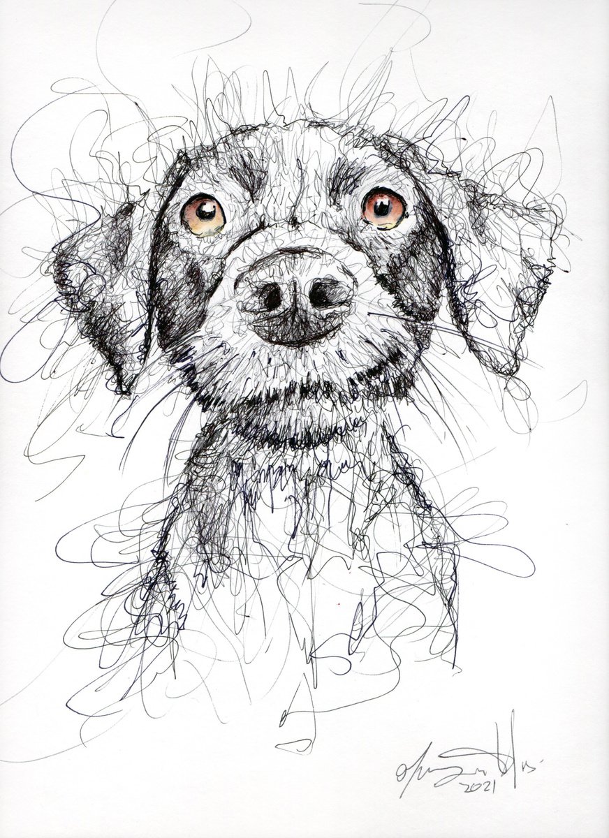 Urban And Pop Animal Ink Drawing By Maurizio Puglisi, 9 X 13", Max, Original Artwork