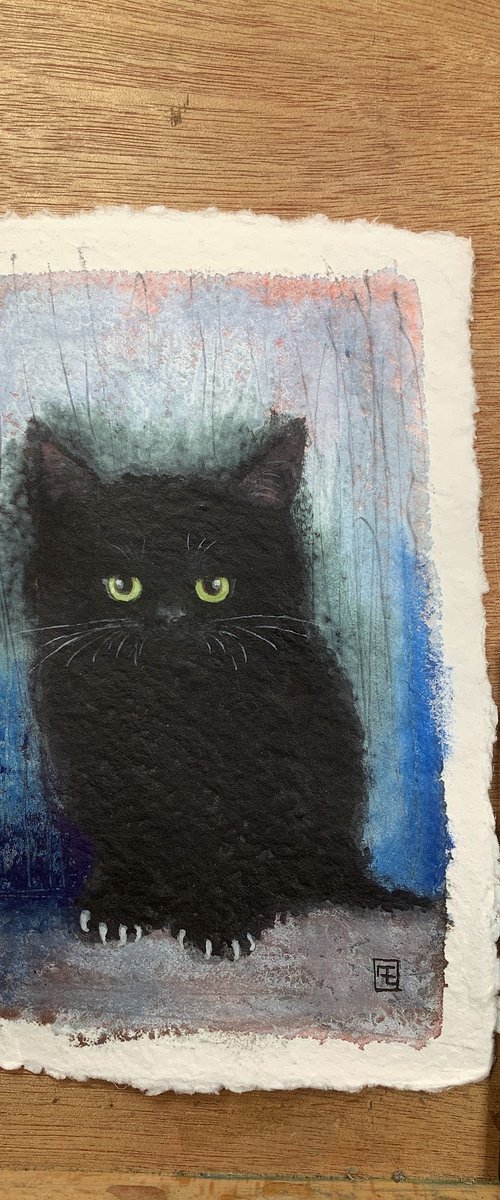 CHATON by Eva Fialka