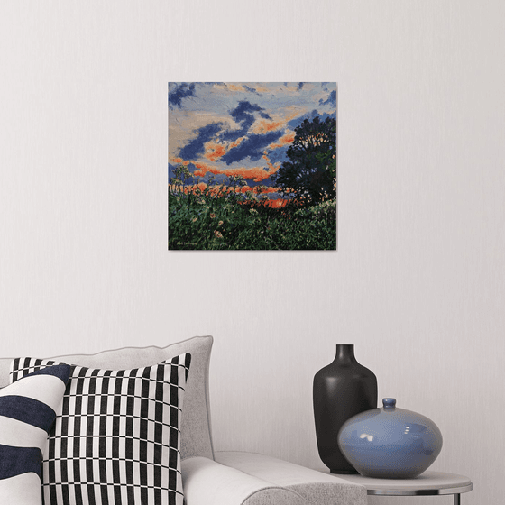 Evening Light - Sunset