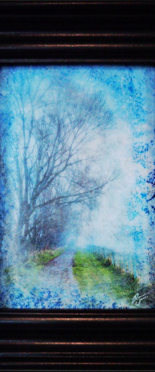 Framed Tree Mist by Roseanne Jones