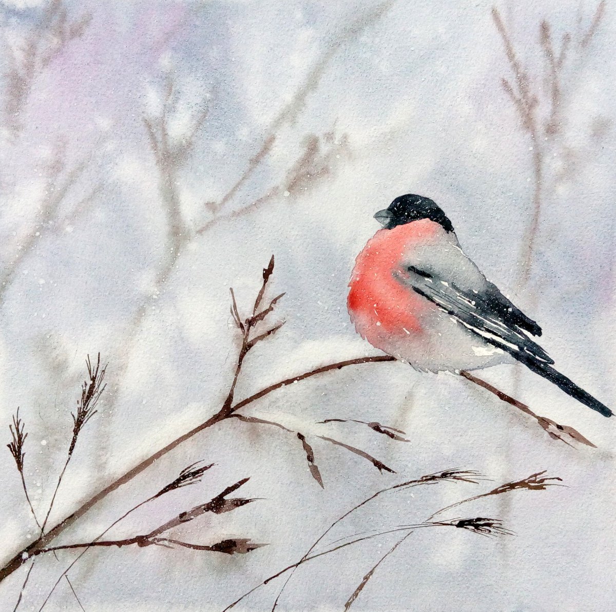 Bullfinch \ Winter Bird by Marina Zhukova