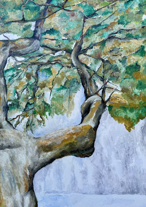 Old tree