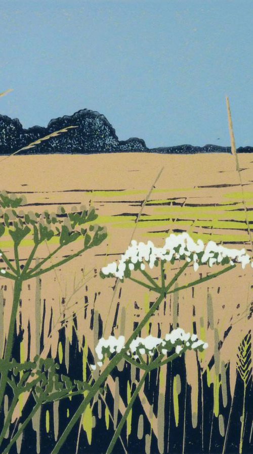 Grasses and Parsley by Alexandra Buckle