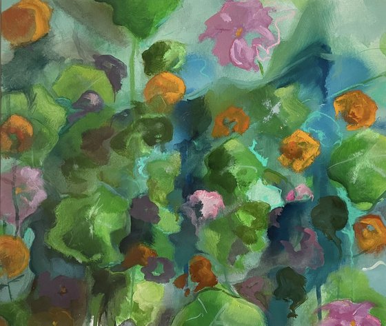 Nasturtium bed