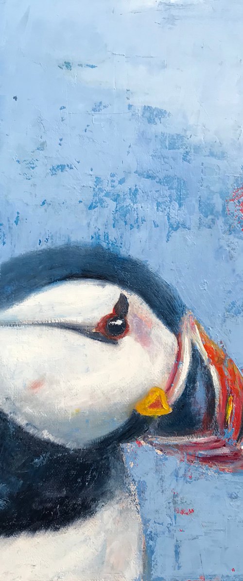 Puffin by Laure Bury
