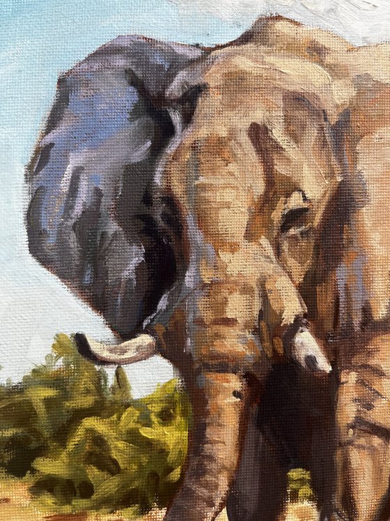 Elephant 2