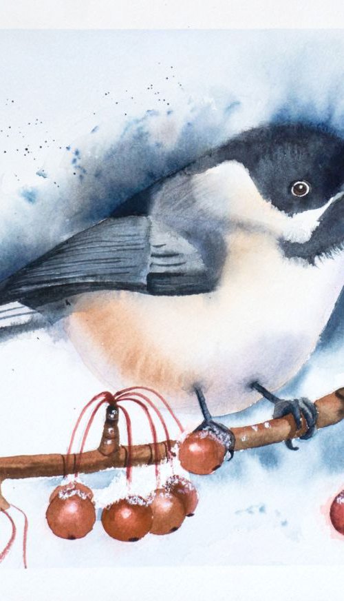 Chickadee bird by Olga Tchefranov (Shefranov)