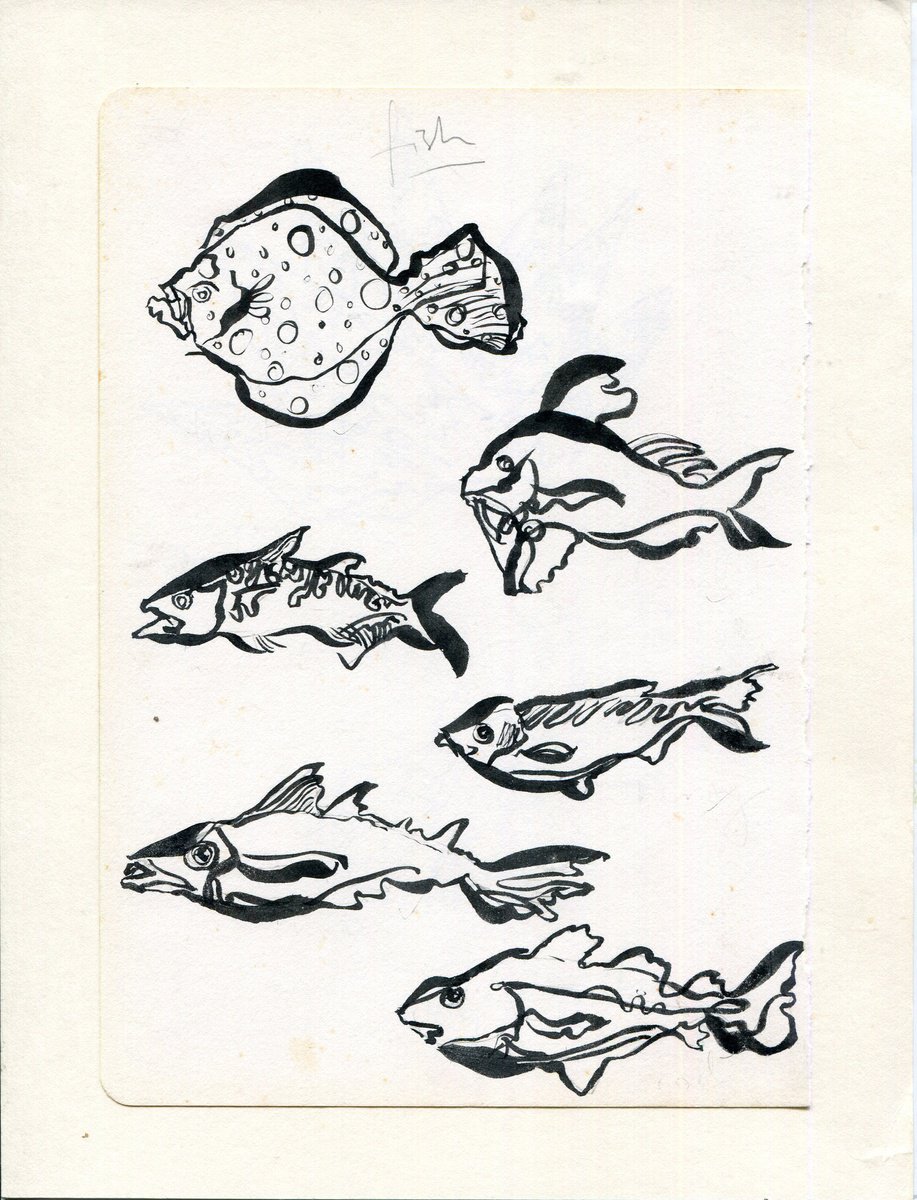 Fish sketch by Hannah Clark