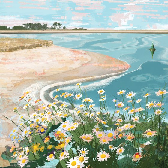 Salt Meadow