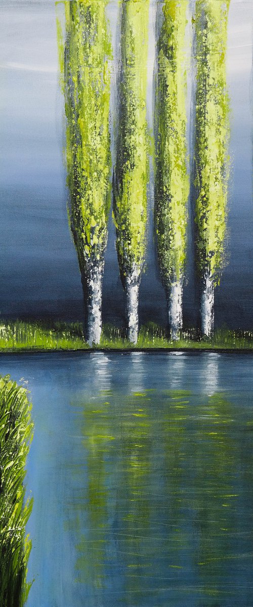 Poplars in Spring -  Fields and Colors Series by Danijela Dan