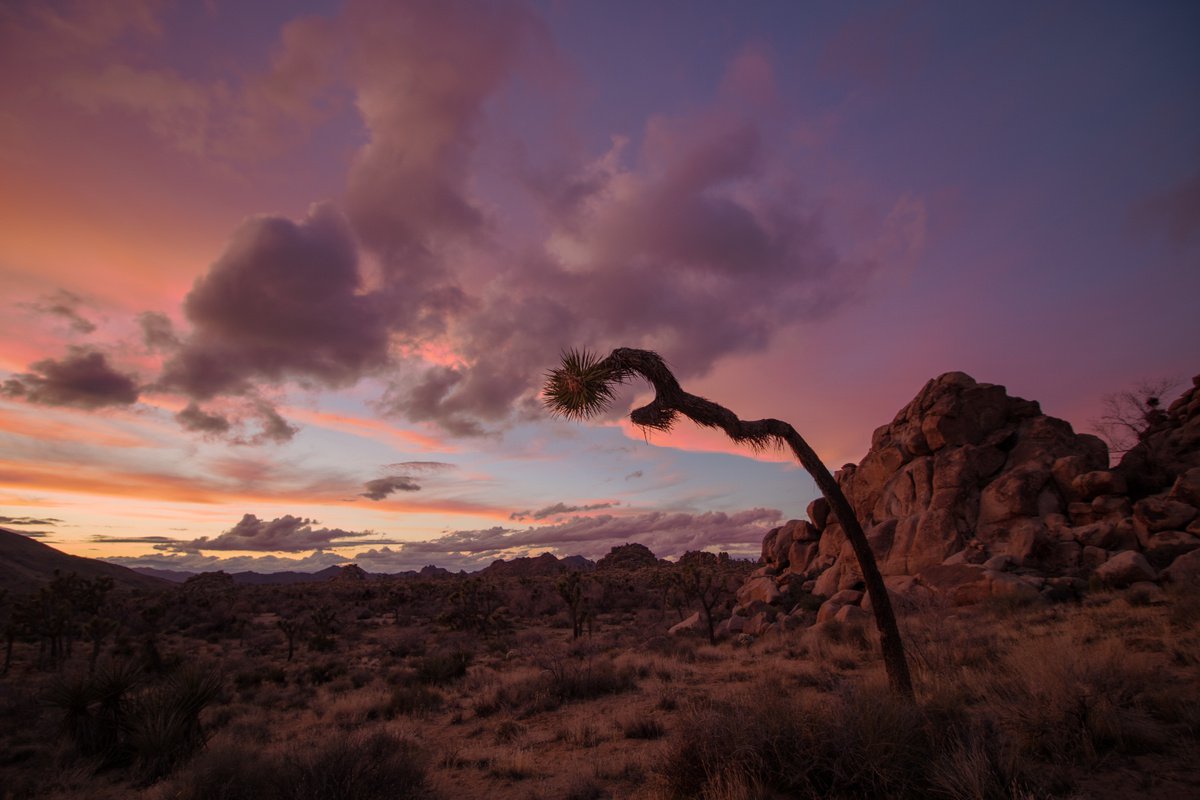 Winter Sunset in in the High Desert III by Mark Hannah