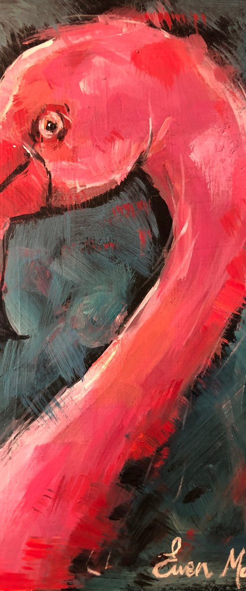 Flamingo by Ewen Macaulay