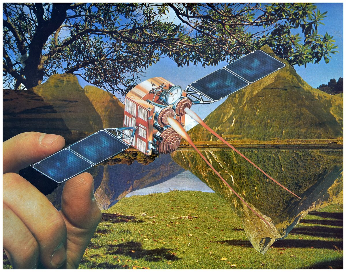 Animal Collage By Pete Davies, 12 X 10", Watch Out For The Bugs, Original Artwork