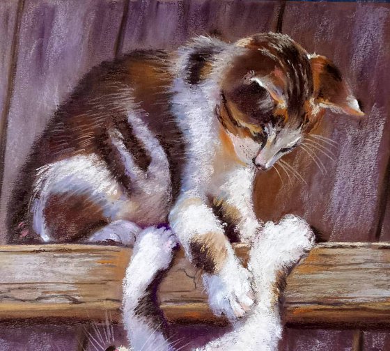 Playful Kittens on the Fence