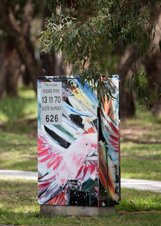 Capturing Freedom - Pink Cockatoo