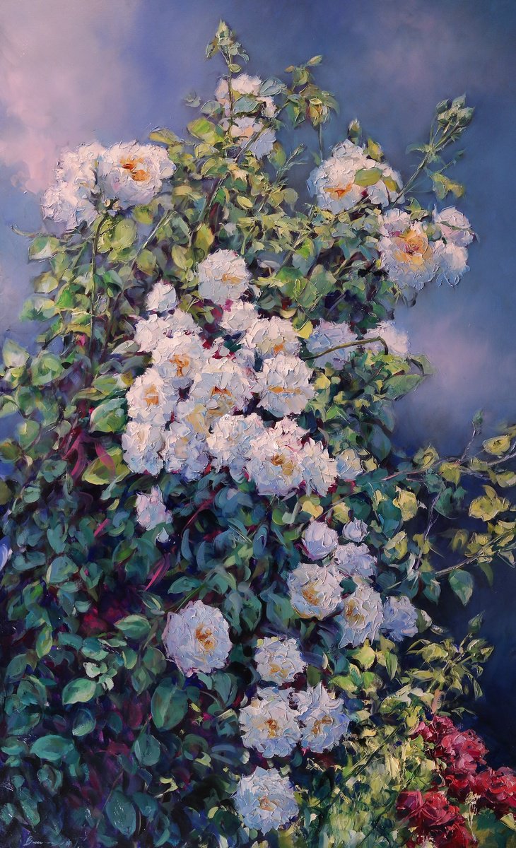 Rose bush by Gennady Vylusk