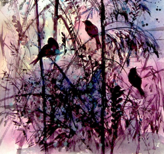 Birds at night