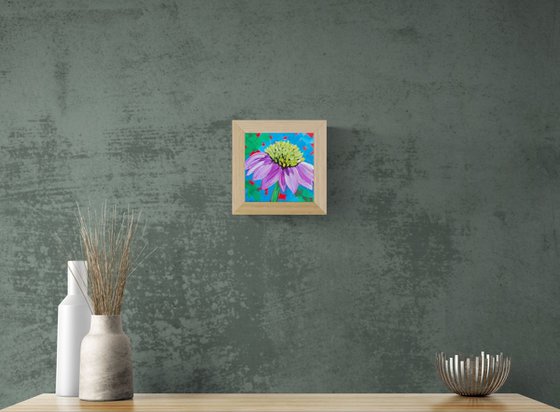 Violet Coneflower Burst
