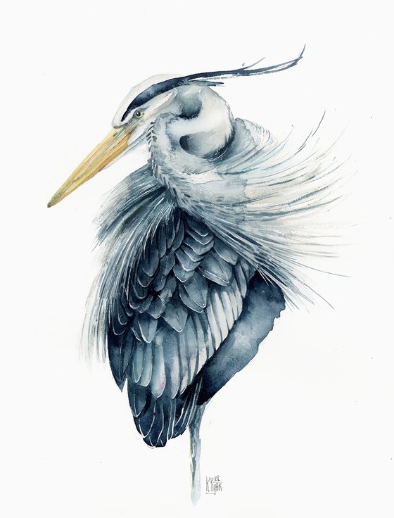 Great Heron, grey elegant water bird