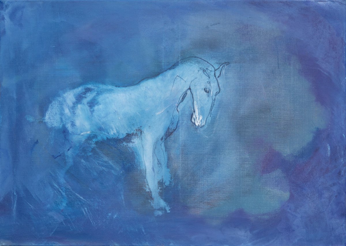 Horse Study 2 by Margit Platny