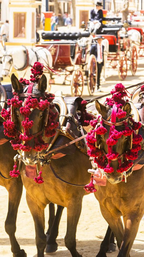 FESTIVAL HORSES by Andrew Lever