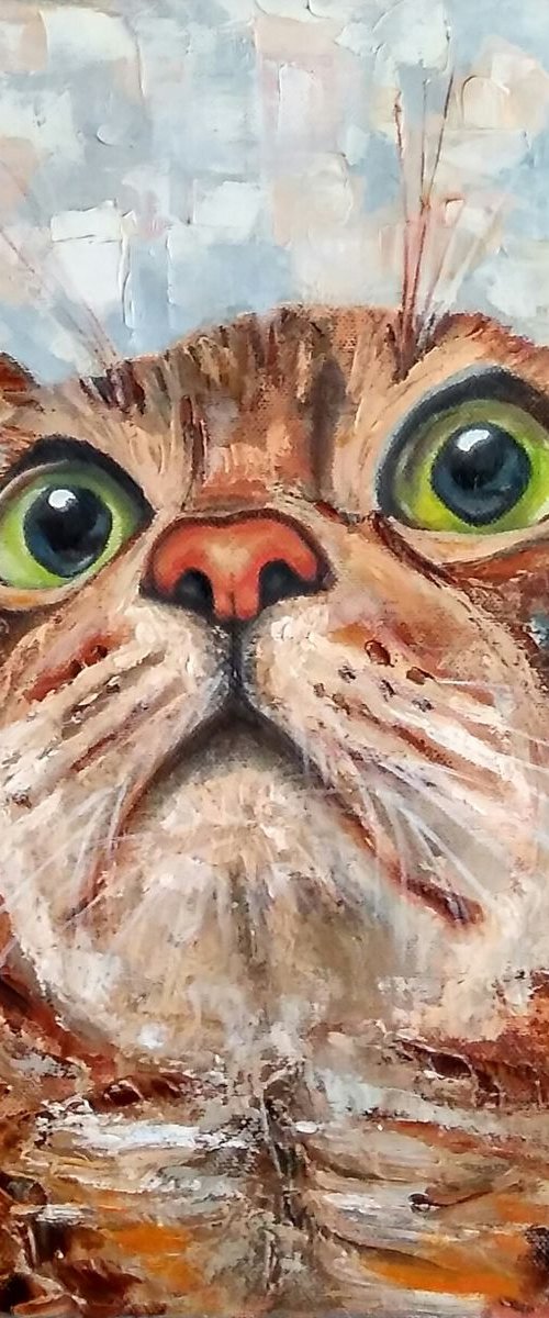 Surprised cat by Yulia Berseneva