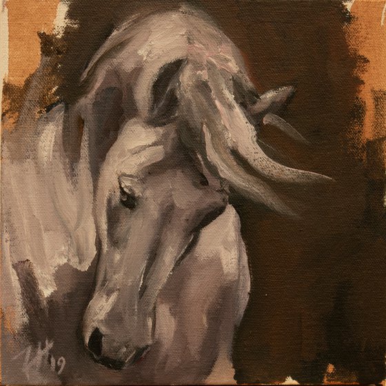 Equine Head Arab White (study 44)