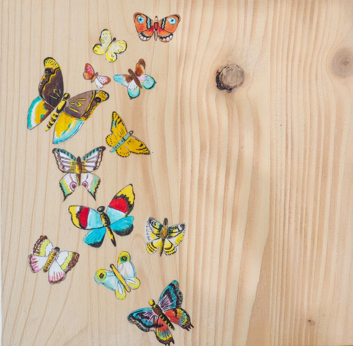 Butterflies by Sandy Broenimann