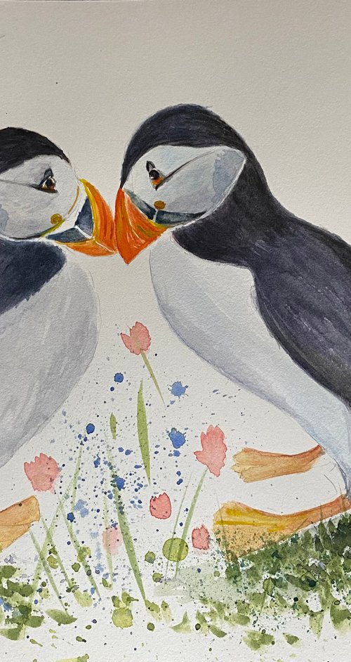 Puffins by Maxine Taylor