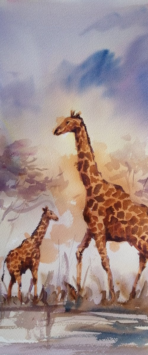giraffes 7 by Giorgio Gosti