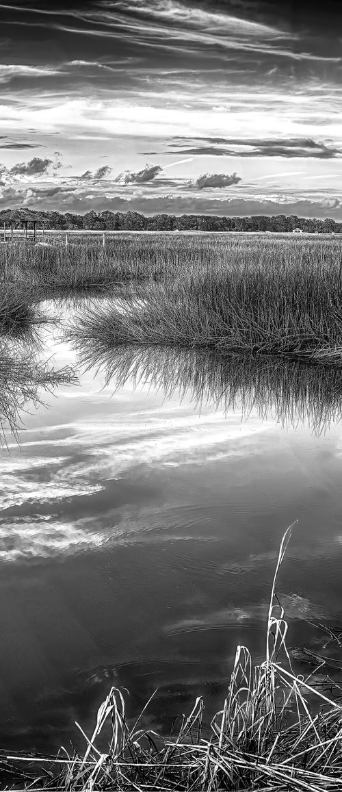 "Burnside Marsh 2" BW by John McManus