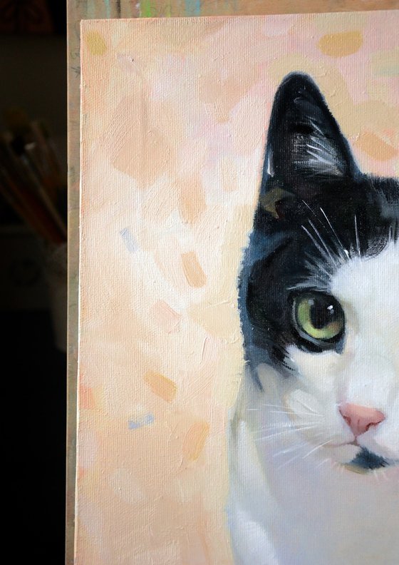 Portrait of pets, portrait of a cat to order