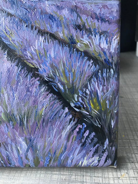 Provence field 2 Oil Painting on canvas 18x26cm