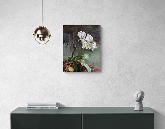 Blooming Orchid