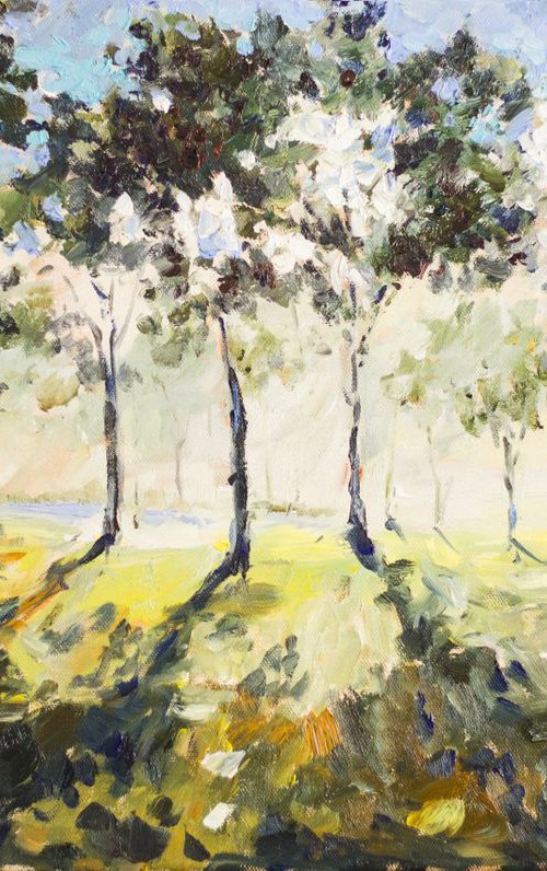Sunny forest by Sasha Romm