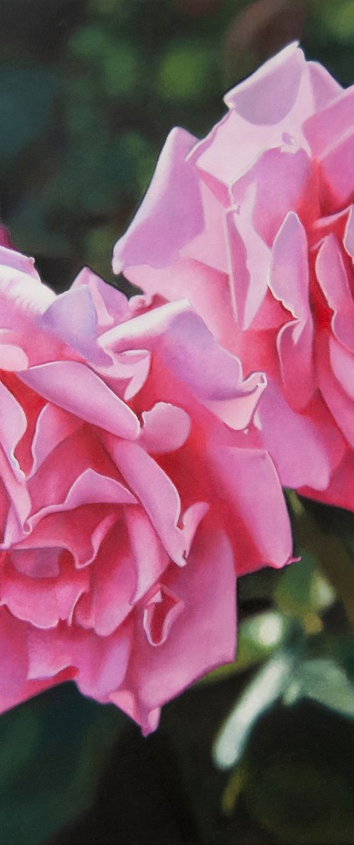 Pink Roses by Valeri Tsvetkov