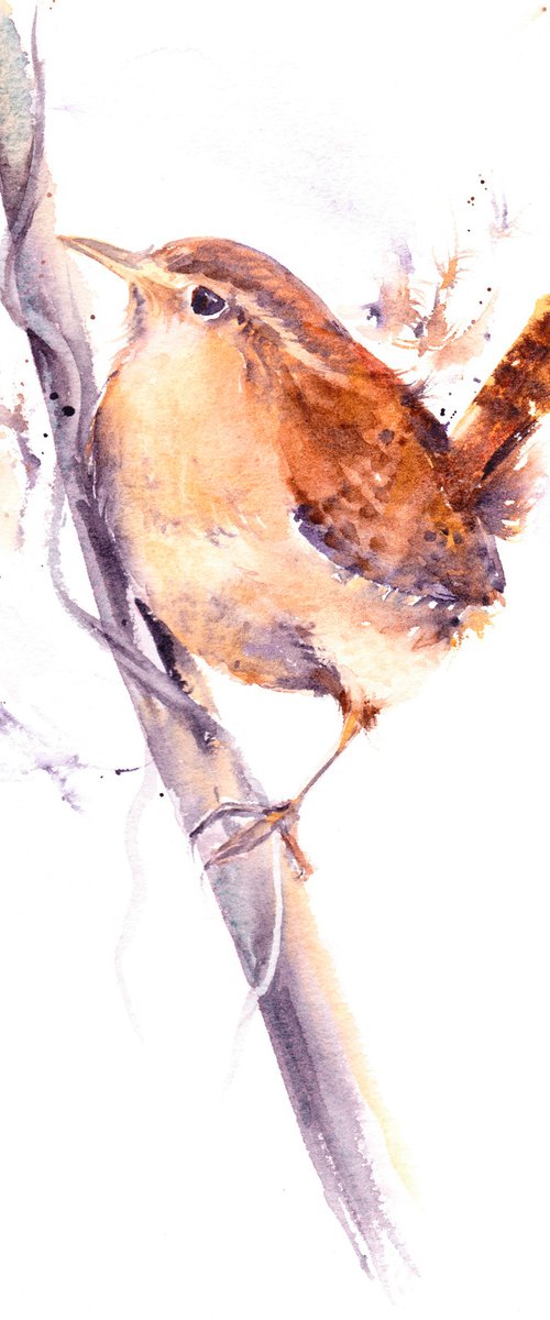 Wren by Anjana Cawdell